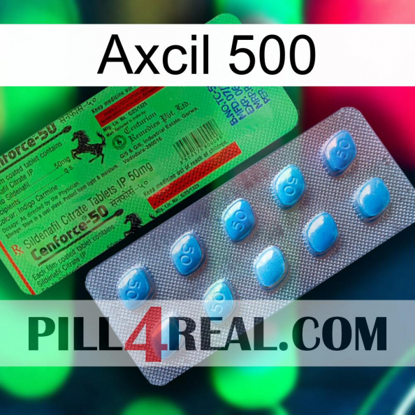 Axcil 500 new03.jpg